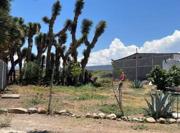 Rancho , General Cepeda · Se Venden Ha en General Cepeda
