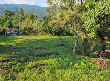 Terreno / Lote , Tepoztlán · Terrenos en Venta en Tepoztlán Morelos
