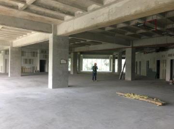 Edificio en renta nuevo Insurgentes Sur super · Edificio en Renta Nuevo Insurgentes Sur Super