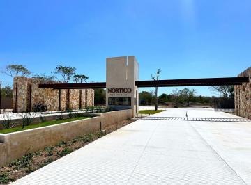 Terreno / Lote , Mérida · Terreno en Venta en Merida, Yucatan Nortico