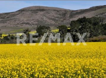 Terreno / Lote · 2500m² · Terreno en Venta en Valle de Guadalupe - (4)