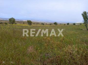 Terreno / Lote · 2500m² · Terreno en Valle de Guadalupe - (4)