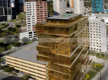 Oficina · 371m² · 13 Estacionamientos · Oficina en Renta en Zona Loma Larga Oriente