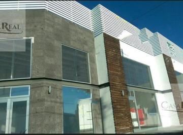 Local comercial · 240m² · Local en Renta Sobre La Teofilo Borunda con Estacionamiento