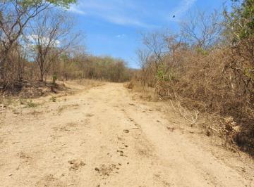 portada · Terreno Agrícola Ganadero Venta, Nayarit
