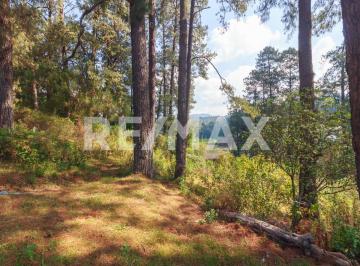 Terreno / Lote · 18527m² · Terreno en Venta - (4)