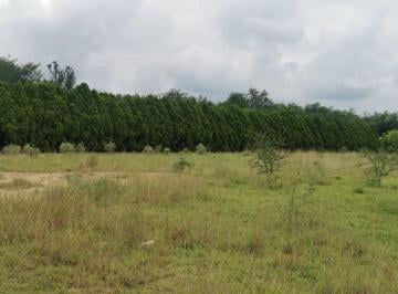 Terreno / Lote , Cadereyta Jiménez · Terreno en Carretera El Castillo Cadereyta