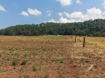 Terreno / Lote · 9876m² · Terreno en Venta - (4)