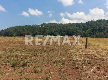 Terreno / Lote · 9876m² · Terreno en Venta - (4)