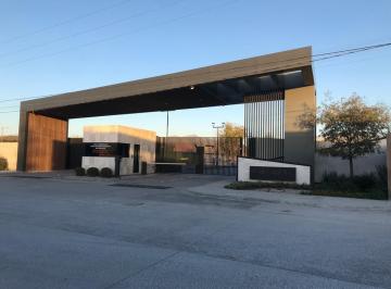 Terreno / Lote , Saltillo · Se Venden Lotes en Fracc Cartagena