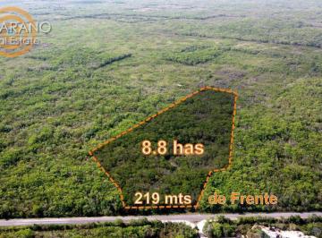 Terreno / Lote · 88000m² · Terreno de 8.8has en Cuncunul | Valladolid Yucatán