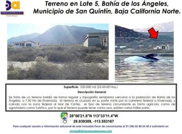 Terreno / Lote , San Quintín · Se Vende Terreno en Playa