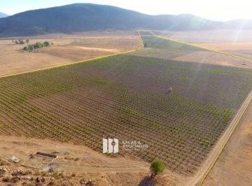 9bf0f86335edefbecc961a783949fa7784e91a44089042e3b8ae426642e7c377 · 17 a 30 Ha con Viñedo Valle de Guadalupe! Precio de Oportunidad!