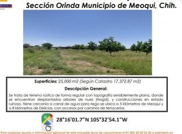 Terreno / Lote , Rosales · Se Vende Terreno Rustico