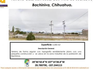 Terreno / Lote , Bachíniva · Se Vende Terreno