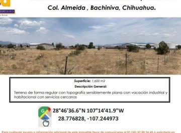 Terreno / Lote , Bachíniva · Se Vende Terreno