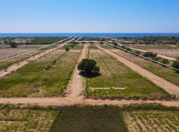 Terreno / Lote , San Pedro Mixtepec · Últimos Terrenos en Venta con Acceso Directo a La Playa Palmarito, Oaxaca.