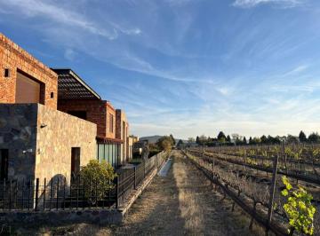 Terreno / Lote , San Miguel de Allende · Viñedo en Venta en San Miguel de Allende