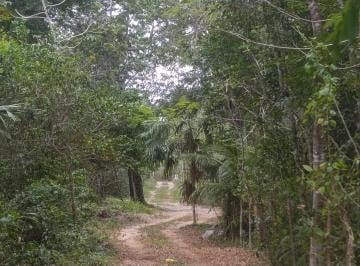 Terreno / Lote , Puerto Morelos · Venta Terreno Media Hectárea Ruta de Los Cenotes
