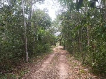 Terreno / Lote , Puerto Morelos · Venta Terreno Selva Alta Ruta de Los Cenotes