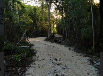 Terreno / Lote , Puerto Morelos · Oportunidad! 4 Ha Cerca de Leona Vicario