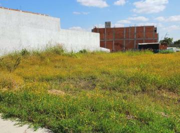 Terreno / Lote , León · Venta Terreno Fracc Mayorca