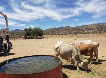 Rancho , Ensenada · En Venta Rancho con Pozo Propio con Permiso de Agua