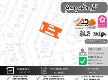 Terreno / Lote , Ixtapan de la Sal · Lote Guayaba IV en Venta en Fracc Rancho San Diego Ixtapan de La Sal Edomex