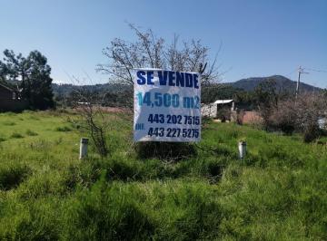 Terreno comercial , Pátzcuaro · Terreno en Patzcuaro a Pie de Carr a Uruapan