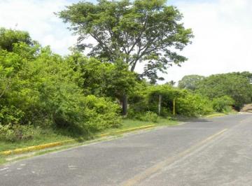 Terreno comercial , Actopan · Venta de 25 Hectáreas con 200 m de Playa en Laguna Verde, Actopan, Veracruz