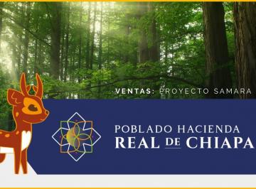 Terreno / Lote , Cuauhtémoc · Terrenos Residenciales Fraccionamiento Poblado Hacienda Real de Chiapa