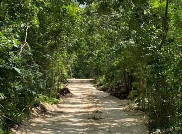 Terreno / Lote , Puerto Morelos · Venta de 1 Hectarea - Central Vallarta