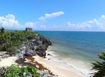 Terreno / Lote , Felipe Carrillo Puerto · Xacan Terrenos en Venta en Tulum Quintana Roo