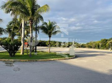 Local comercial , Tulum · Local Comercial en Renta en Tulum Quintana Roo