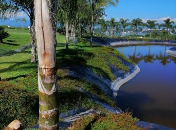 Terreno / Lote , Jojutla · Terrenos en Venta en Tequesquitengo Morelos. Desarrollo Sol y Lago