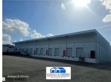 Bodega comercial · 600m² · 5 Estacionamientos · Bodega de Plejo con Seguridad/anden