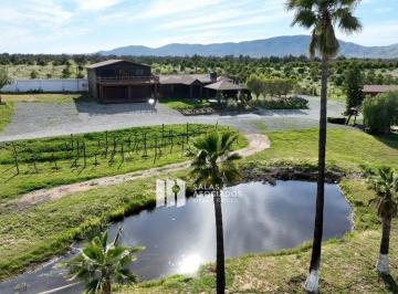 4c54df3846bc20f3ed5959e023ce572352b0bc19474235f22a31d8159b7babfd · 1.81 Ha Frente a Finca Altozano en Valle de Guadalupe