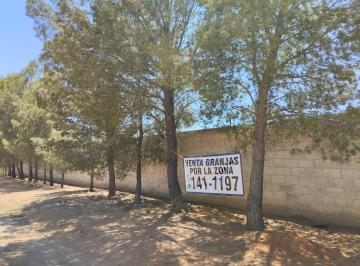 Huerta , Chihuahua · Venta Granja con Arboles Frutales y Bardas Altas Salida Aldama $1,229,000