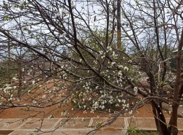 Huerta , Chihuahua · Venta Granja con Arboles Frutales y Bardas Altas Salida Aldama $1,229,000