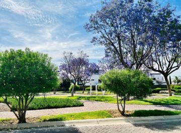 Terreno / Lote , Aguascalientes · Terreno en Las Plazas en Venta Construya a Su Gusto