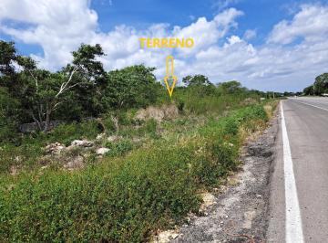 Terreno / Lote · 28423m² · Terreno Comercial a Pie de Carretera Merida - Tizimin en Motul Yucatán. - (4)
