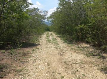 Terreno / Lote · 5285m² · Terreno en Venta en San Pablo Etla, Oaxaca.