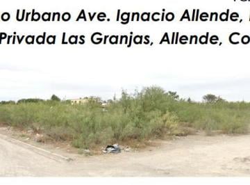 Terreno / Lote , Allende · Se Vende Terreno Urbano