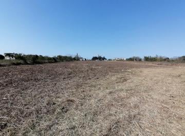 Terreno / Lote · 40000000ha · (Bdtv2103) Terreno en Venta en Santa Inés Km 40 Altamira Tamaulipas Informes 833: 138: 7540