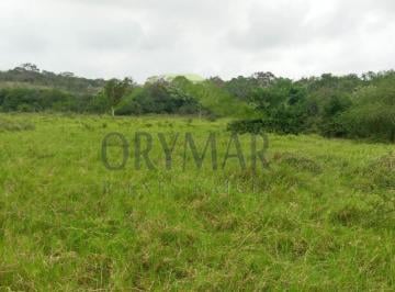 Terreno / Lote · 80000m² · (Dmtv2054) Rancho en Venta, Tampico Alto, Veracruz Info. 833: 116: 5951