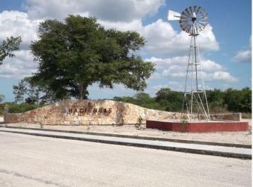 Terreno / Lote · 1000m² · Lote Residencial en Komchen