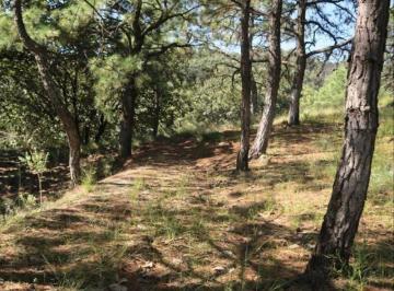 Terreno / Lote , Zapopan · Terreno en Venta en La Primavera | 10,246 m² | Ideal Casa de Campo | Cerca Autódromo Jalisco