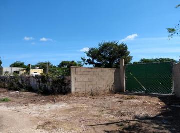 Terreno / Lote · 3500m² · Terreno de 3500 m² en La Orilla de Chicxulub Pueblo
