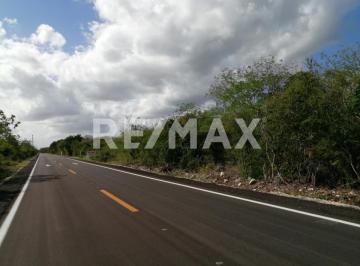 Terreno / Lote · 11000m² · Terreno Cerca de Hacienda Kikteil Para Desarrollar en Komchen Merida Yucatán. - (4)