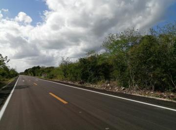 Terreno / Lote · 11000m² · Terreno Cerca de Hacienda Kikteil Para Desarrollar en Komchen Merida Yucatán. - (4)